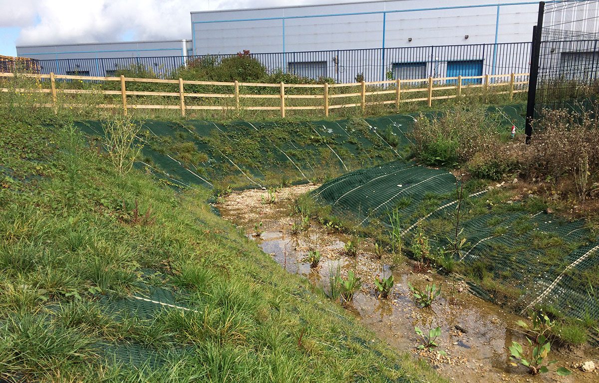 Environmental Protection
